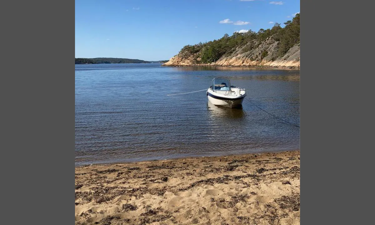 Ekevika