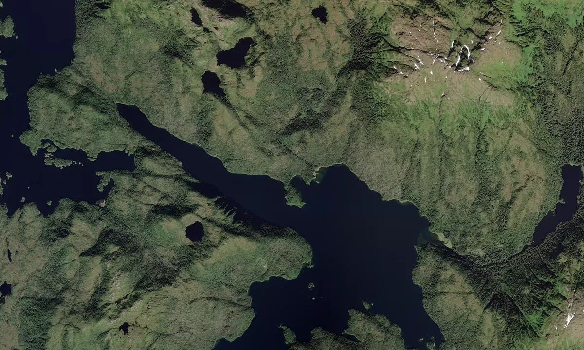 Flyfoto av Elf Cove