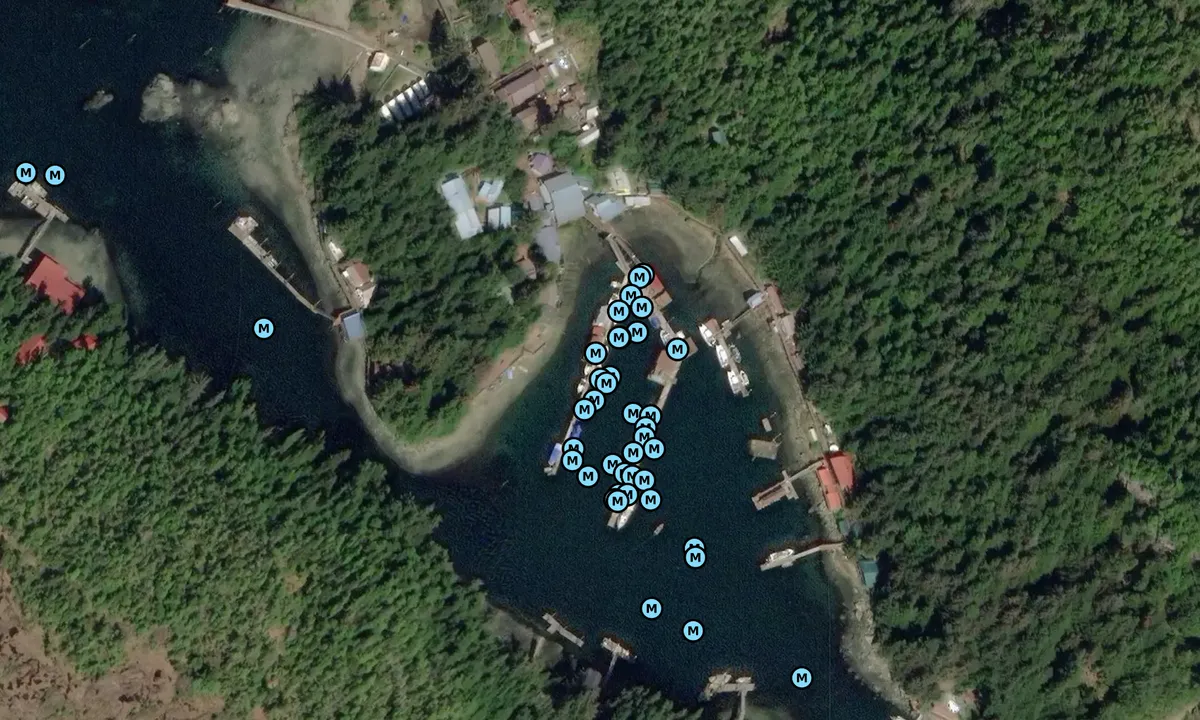 Satelite image of Elfin Cove Inner Harbor