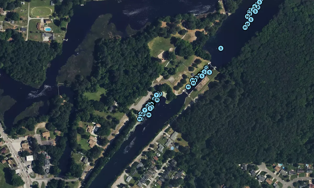 Satelite image of Elizabeth's Dock