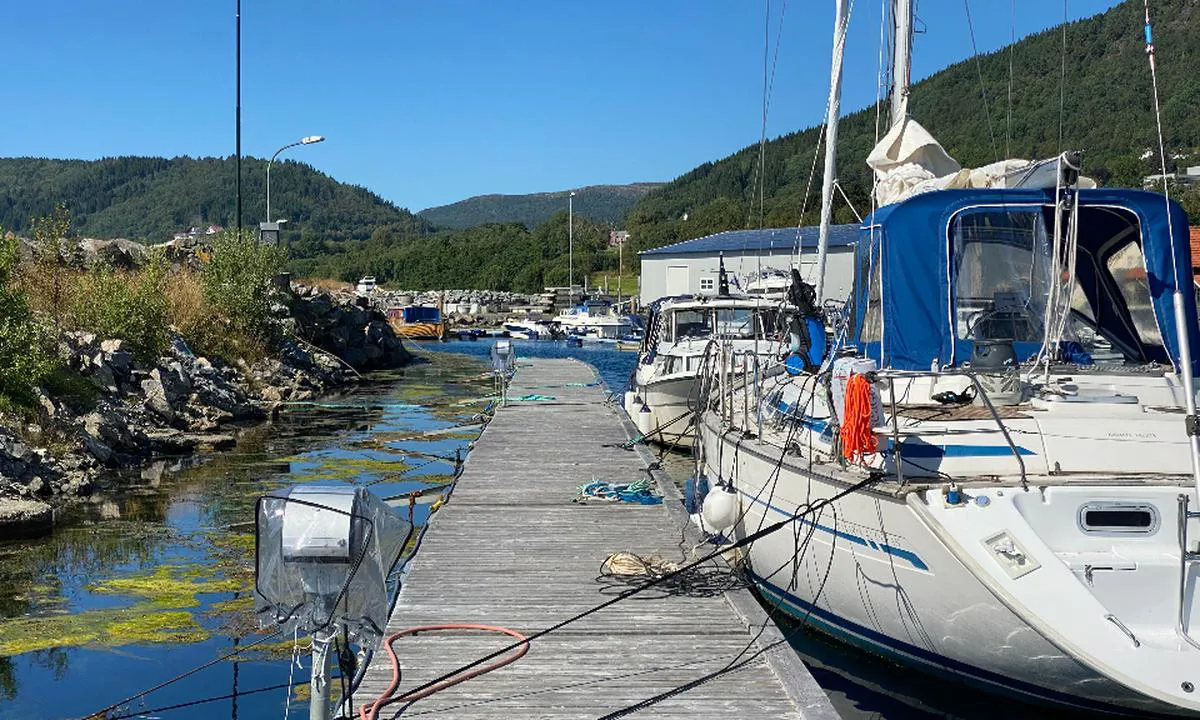 Elnesvågen Småbåtforening: Gjestebrygge.