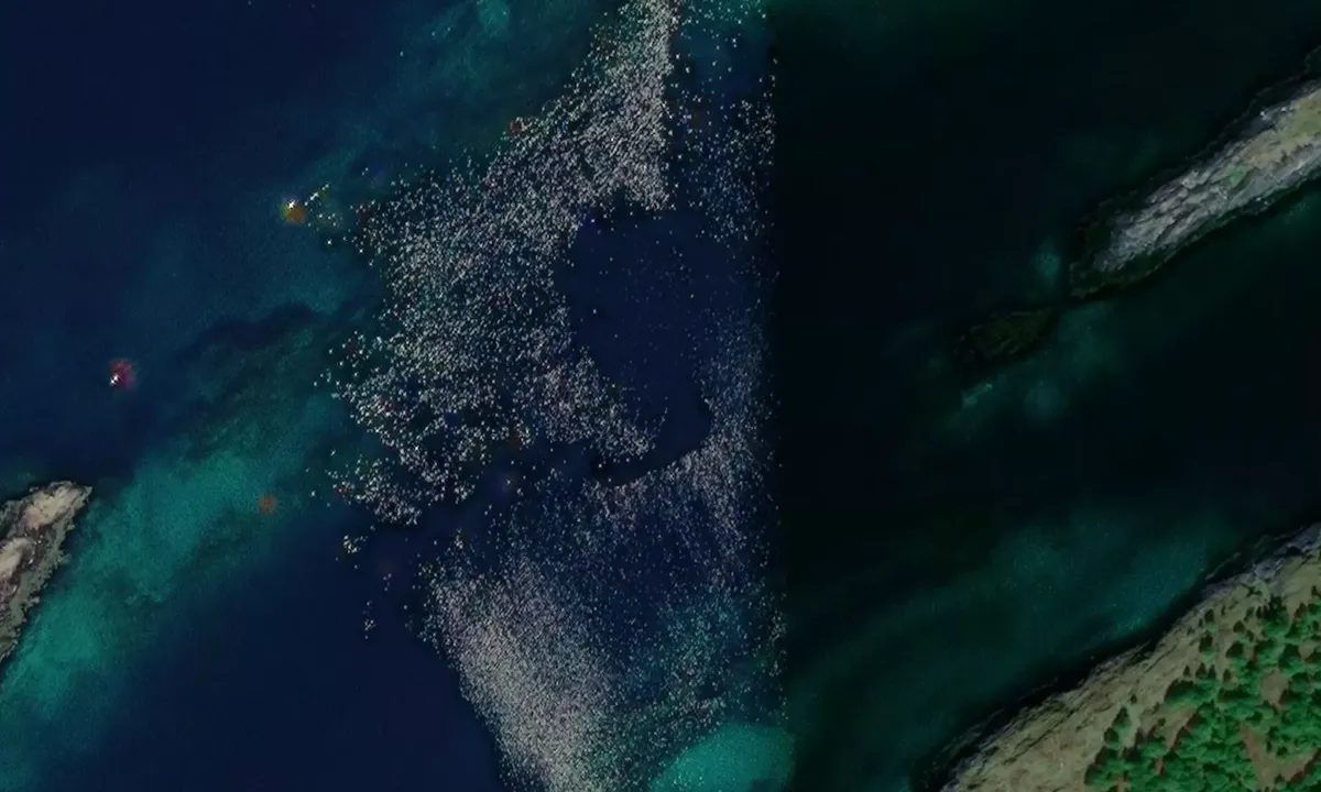 Satelite image of Elseskjæret