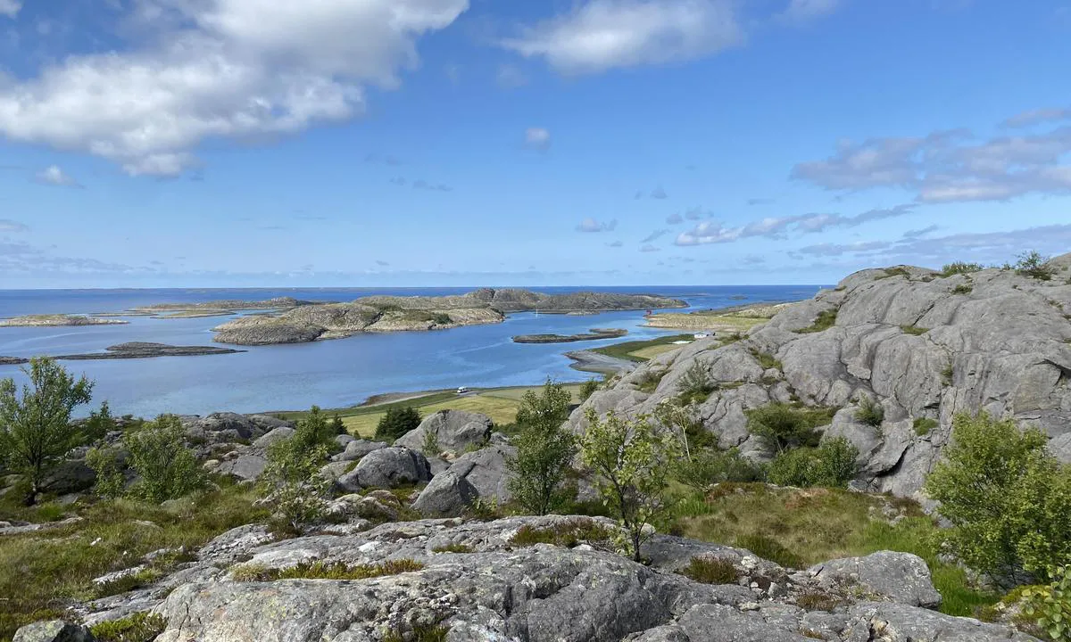 Elsøya