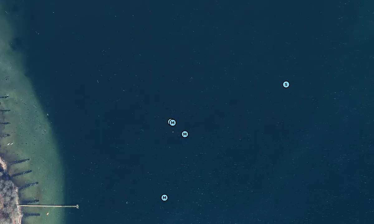 Satelite image of Elvighøj bouy