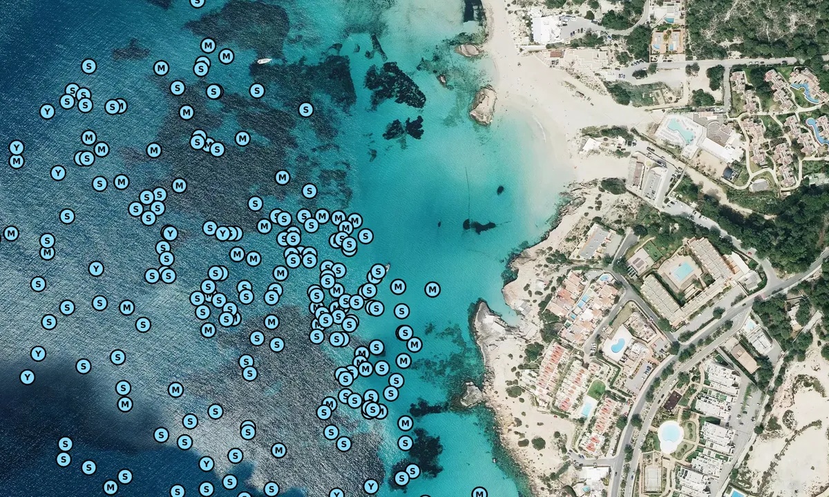 Satelite image of Embarcaderos Cala Tarida