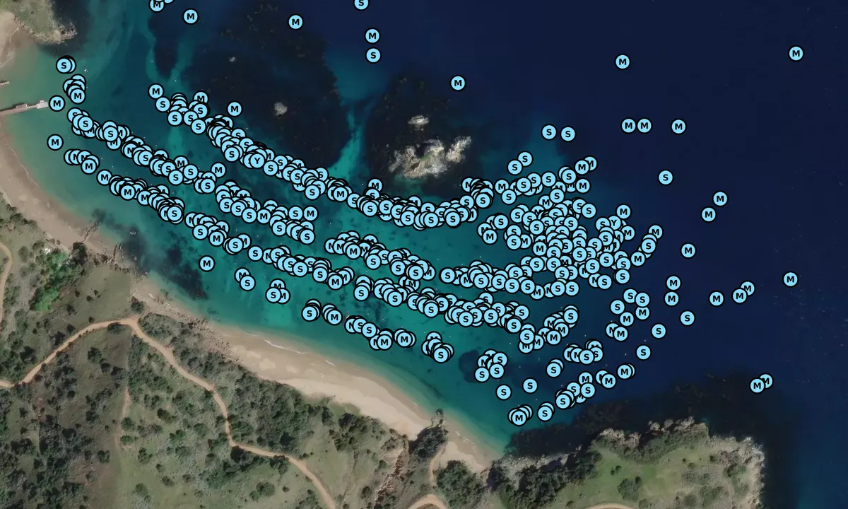 Satelite image of Emerald Bay - Avalon