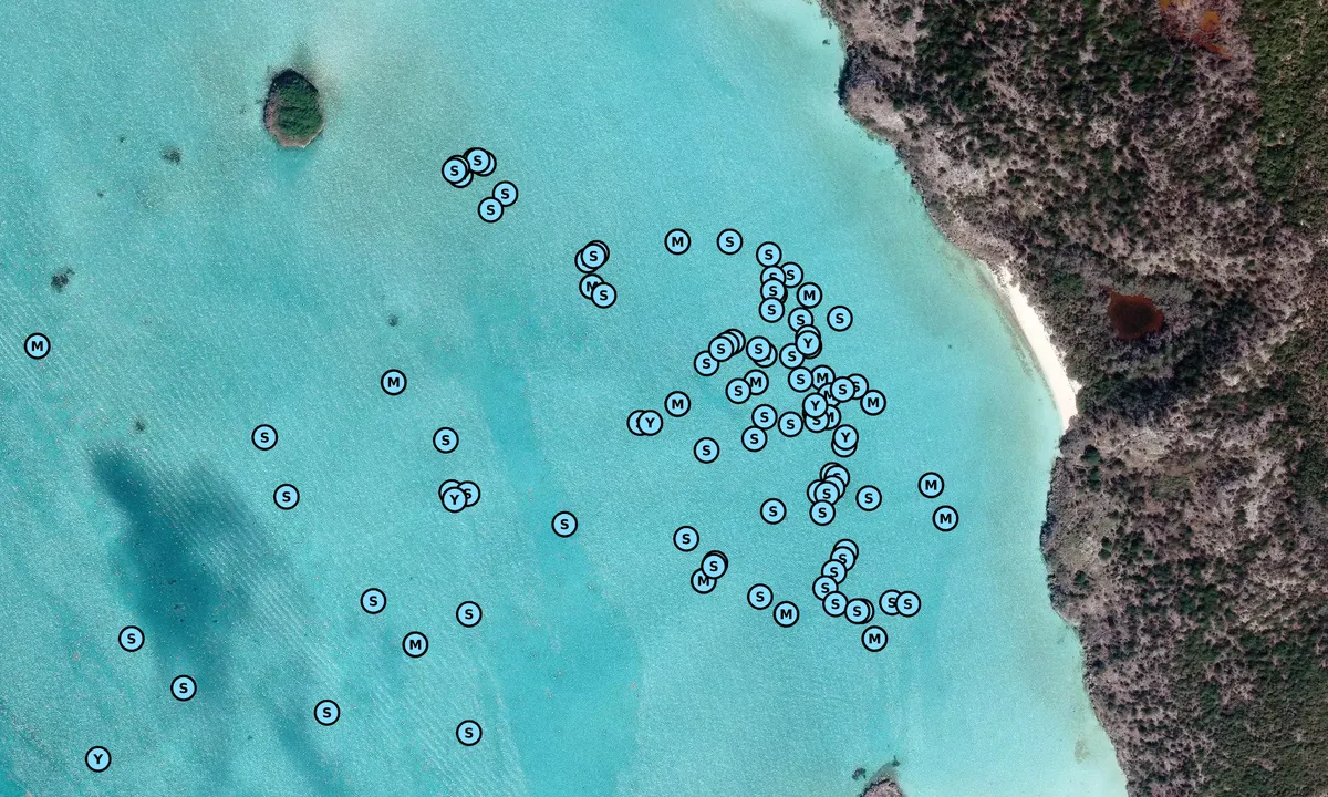 Satelite image of Emerald Rock Mooring Field (Exuma Cays Land & Sea 