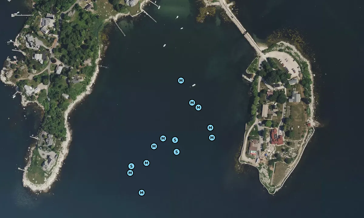 Satelite image of Enders Island