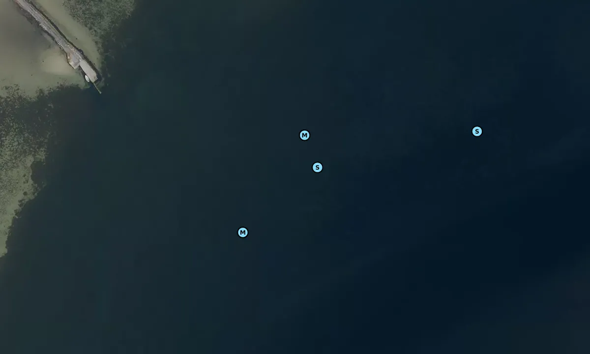 Satelite image of Enehøje
