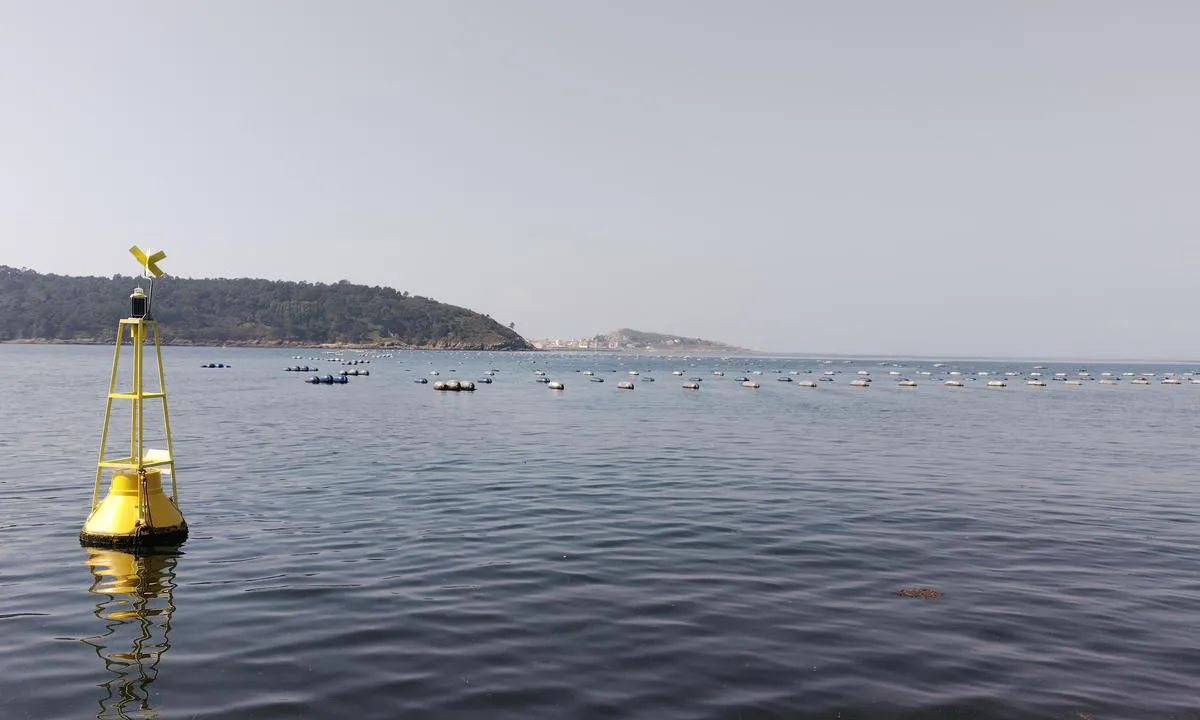Enseada de Merexo: {"base": "en", "no": "Det brede marinefarmen blokkerer det meste av inngangen til bukten. Den har store gule b\u00f8yer med lys i endene.", "se": "Den breda marina g\u00e5rden blockerar st\u00f6rre delen av ing\u00e5ngen till bukten. Den har stora gula bojar med lampor i \u00e4ndarna.", "en": "The wide marine farm blocks most of the entrance to the bay.\r\nIt has big yellow buoys with lights at the extremes.", "da": "Det brede marineopdr\u00e6t blokerer det meste af indgangen til bugten.<br>Det har store gule b\u00f8jer med lys i enderne.", "fr": "La grande ferme marine bloque la majeure partie de l'entr\u00e9e de la baie.<br>Elle poss\u00e8de de grandes bou\u00e9es jaunes avec des lumi\u00e8res aux extr\u00e9mit\u00e9s.", "de": "Die breite Meeresfarm blockiert den gr\u00f6\u00dften Teil des Eingangs zur Bucht. Sie hat gro\u00dfe gelbe Bojen mit Lichtern an den Enden.", "es": "El ancho vivero marino bloquea la mayor parte de la entrada a la bah\u00eda. Tiene grandes boyas amarillas con luces en los extremos.", "it": "La vasta azienda marina blocca la maggior parte dell'ingresso della baia. Ha grandi boe gialle con luci agli estremi.", "pt": "A ampla fazenda marinha bloqueia a maior parte da entrada da ba\u00eda. Ela possui grandes boias amarelas com luzes nos extremos.", "nl": "De brede mariene boerderij blokkeert het grootste deel van de ingang van de baai. Het heeft grote gele boeien met lichten aan de uiteinden.", "pl": "Szeroka farma morska blokuje wi\u0119kszo\u015b\u0107 wej\u015bcia do zatoki.<br />Ma du\u017ce, \u017c\u00f3\u0142te boje z \u015bwiat\u0142ami na kra\u0144cach.", "uk": "<p>\u0428\u0438\u0440\u043e\u043a\u0430 \u043c\u043e\u0440\u0441\u044c\u043a\u0430 \u0444\u0435\u0440\u043c\u0430 \u0431\u043b\u043e\u043a\u0443\u0454 \u0431\u0456\u043b\u044c\u0448\u0443 \u0447\u0430\u0441\u0442\u0438\u043d\u0443 \u0432\u0445\u043e\u0434\u0443 \u0432 \u0431\u0443\u0445\u0442\u0443.<br>\u0412\u043e\u043d\u0430 \u043c\u0430\u0454 \u0432\u0435\u043b\u0438\u043a\u0456 \u0436\u043e\u0432\u0442\u0456 \u0431\u0443\u0439\u043a\u0438 \u0437\u0456 \u0441\u0432\u0456\u0442\u043b\u043e\u043c \u043d\u0430 \u043a\u0440\u0430\u0439\u043d\u0456\u0445 \u0442\u043e\u0447\u043a\u0430\u0445.</p>", "ro": "Ferma marin\u0103 extins\u0103 blocheaz\u0103 cea mai mare parte a intr\u0103rii \u00een golf. Are balize galbene mari cu lumini la extremit\u0103\u021bi.", "tr": "Geni\u015f deniz \u00e7iftli\u011fi k\u00f6rfezin giri\u015finin \u00e7o\u011funu bloke ediyor.<br>U\u00e7larda \u0131\u015f\u0131kl\u0131 b\u00fcy\u00fck sar\u0131 \u015famand\u0131ralar bulunmakta.", "el": "\u0397 \u03b5\u03c5\u03c1\u03b5\u03af\u03b1 \u03b8\u03b1\u03bb\u03ac\u03c3\u03c3\u03b9\u03b1 \u03c6\u03ac\u03c1\u03bc\u03b1 \u03bc\u03c0\u03bb\u03bf\u03ba\u03ac\u03c1\u03b5\u03b9 \u03c4\u03bf \u03bc\u03b5\u03b3\u03b1\u03bb\u03cd\u03c4\u03b5\u03c1\u03bf \u03bc\u03ad\u03c1\u03bf\u03c2 \u03c4\u03b7\u03c2 \u03b5\u03b9\u03c3\u03cc\u03b4\u03bf\u03c5 \u03c3\u03c4\u03bf\u03bd \u03ba\u03cc\u03bb\u03c0\u03bf. \u0394\u03b9\u03b1\u03b8\u03ad\u03c4\u03b5\u03b9 \u03bc\u03b5\u03b3\u03ac\u03bb\u03bf\u03c5\u03c2 \u03ba\u03af\u03c4\u03c1\u03b9\u03bd\u03bf\u03c5\u03c2 \u03c3\u03b7\u03bc\u03b1\u03bd\u03c4\u03ae\u03c1\u03b5\u03c2 \u03bc\u03b5 \u03c6\u03ce\u03c4\u03b1 \u03c3\u03c4\u03b1 \u03ac\u03ba\u03c1\u03b1.", "cs": "\u0160irok\u00e1 mo\u0159sk\u00e1 farma blokuje v\u011bt\u0161inu vstupu do z\u00e1toky. M\u00e1 velk\u00e9 \u017elut\u00e9 b\u00f3je s sv\u011btly na kraj\u00edch.", "hu": "A sz\u00e9les tengeri farm blokkolja az \u00f6b\u00f6l bej\u00e1rat\u00e1nak nagy r\u00e9sz\u00e9t.\nNagy s\u00e1rga b\u00f3j\u00e1k vil\u00e1g\u00edtanak a sz\u00e9lein.", "fi": "Leve\u00e4 kalankasvatusalue est\u00e4\u00e4 suurimman osan lahden sis\u00e4\u00e4nk\u00e4ynnist\u00e4. Alueella on suuria keltaisia poijuja, joissa on valot \u00e4\u00e4rip\u00e4iss\u00e4.", "bg": "\u0428\u0438\u0440\u043e\u043a\u0430\u0442\u0430 \u043c\u043e\u0440\u0441\u043a\u0430 \u0444\u0435\u0440\u043c\u0430 \u0431\u043b\u043e\u043a\u0438\u0440\u0430 \u0433\u043e\u043b\u044f\u043c\u0430 \u0447\u0430\u0441\u0442 \u043e\u0442 \u0432\u0445\u043e\u0434\u0430 \u043a\u044a\u043c \u0437\u0430\u043b\u0438\u0432\u0430. \u0422\u044f \u0438\u043c\u0430 \u0433\u043e\u043b\u0435\u043c\u0438 \u0436\u044a\u043b\u0442\u0438 \u0431\u0443\u0439\u043e\u0432\u0435 \u0441\u044a\u0441 \u0441\u0432\u0435\u0442\u043b\u0438\u043d\u0438 \u043d\u0430 \u043a\u0440\u0430\u0438\u0449\u0430\u0442\u0430.", "sr": "\u0160iroka morska farma blokira ve\u0107inu ulaza u zaliv. Ima velike \u017eute bove sa svetlima na krajevima.", "et": "Lai merefarm blokeerib suurema osa lahte sisenevast teekonnast. \u00c4\u00e4rtes on suured kollased tuledega poid.", "lv": "Pla\u0161\u0101 j\u016bras ferma blo\u0137\u0113 liel\u0101ko da\u013cu l\u012b\u010da ieejas. T\u0101s galos ir lielas dzeltenas bojas ar gaism\u0101m.", "lt": "Plataus j\u016brinio \u016bkio blokados u\u017edaro did\u017ei\u0105j\u0105 \u012flankos \u012feigos dal\u012f.<br>Jis turi didelius geltonus pl\u016bdurus su \u0161viesomis kra\u0161tuose."}