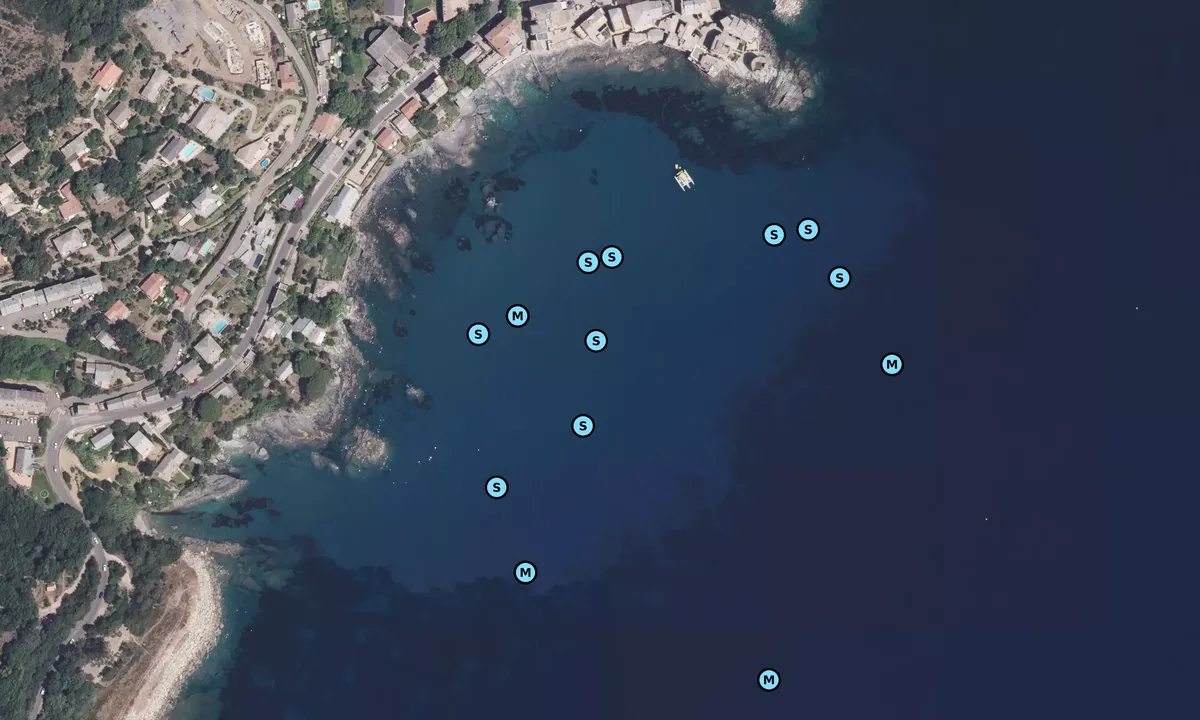 Satelite image of Erbalunga