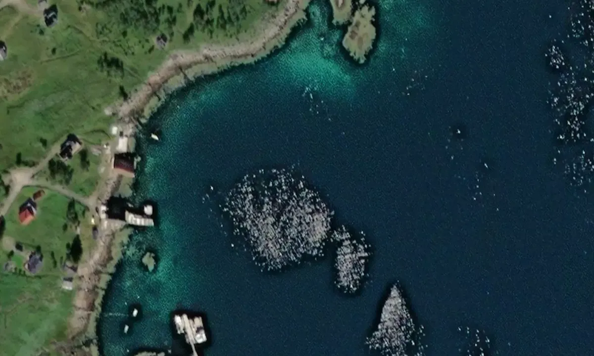 Satelite image of Erikstad