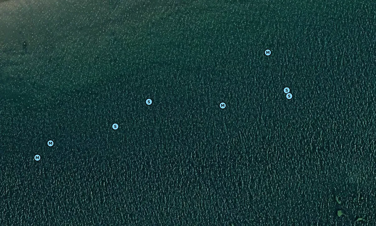 Satelite image of Erwarton Bay
