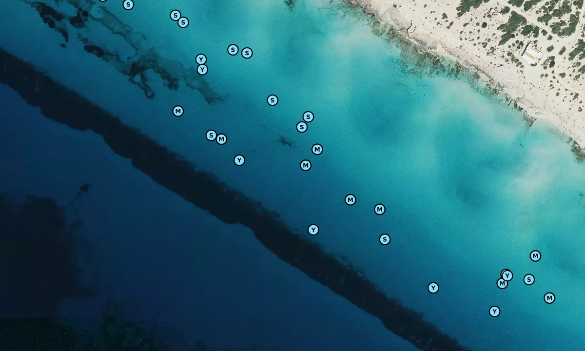 Satelite image of Es Codol Foradad