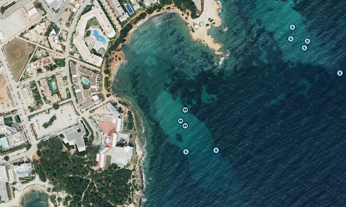 Satelite image of Es Farallo
