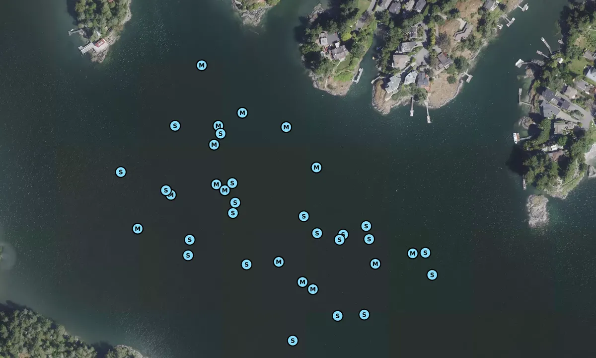 Satelite image of Esquimalt Harbour