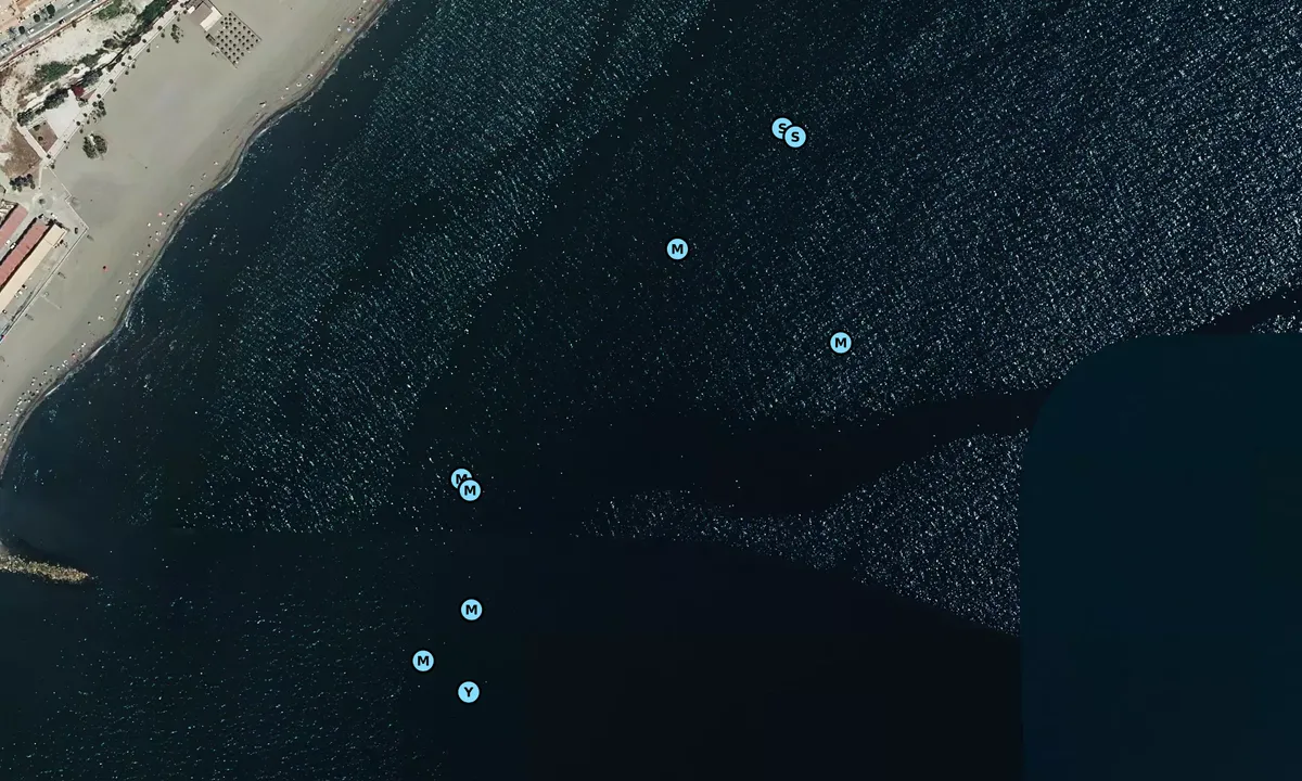 Satelite image of Estepona