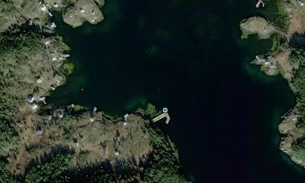 Satelite image of Exploits Island Wharf