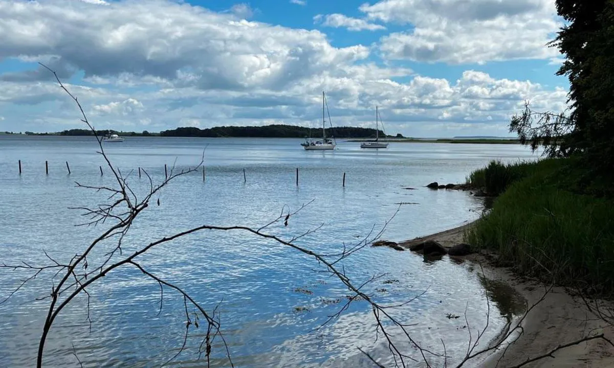 Fænø S bouy: {"base": "en", "no": "God beskyttelse mot vestlige vinder og tilgang til en strand.", "se": "Bra skydd mot v\u00e4stliga vindar och tillg\u00e5ng till en strand.", "en": "Good protection for westerly winds and access to a beach.", "da": "God beskyttelse mod vestenvind og adgang til en strand."}