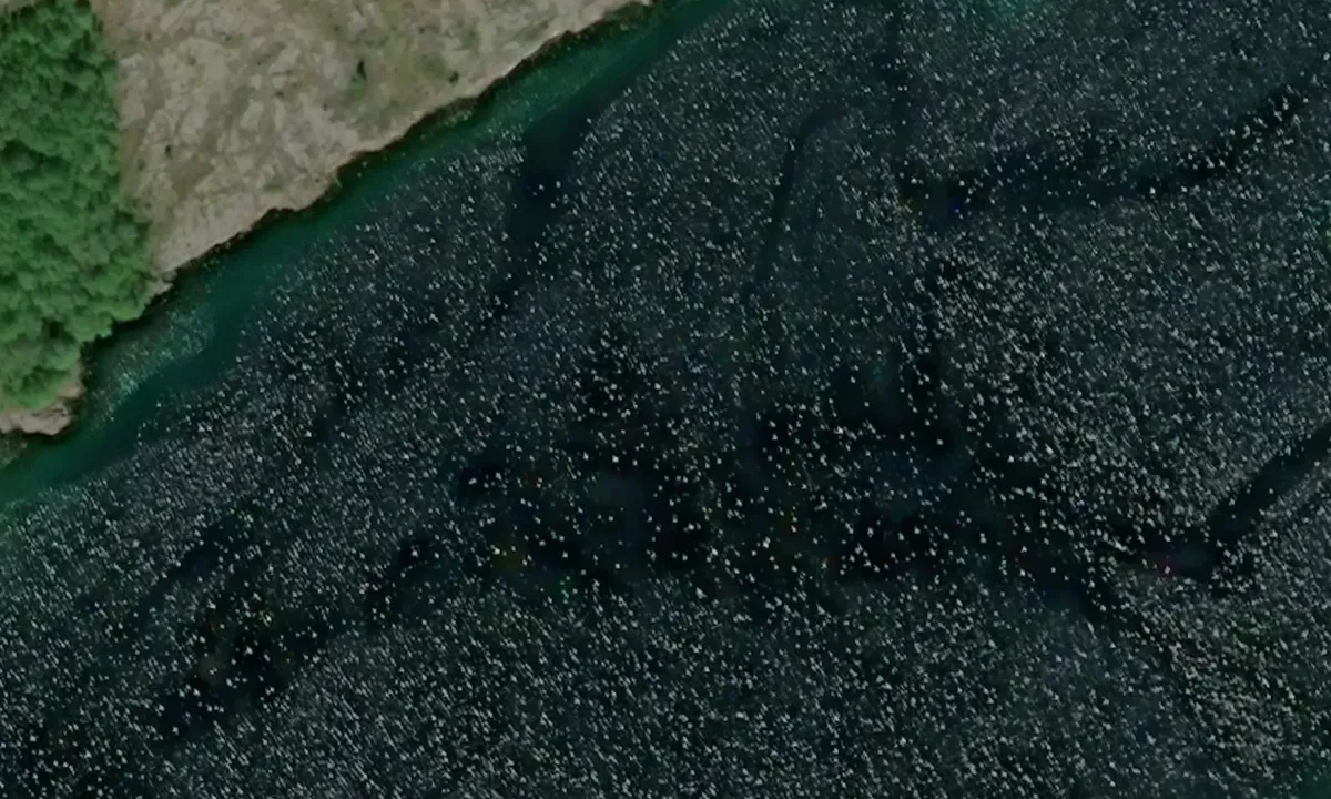 Satelite image of Færøyvalen