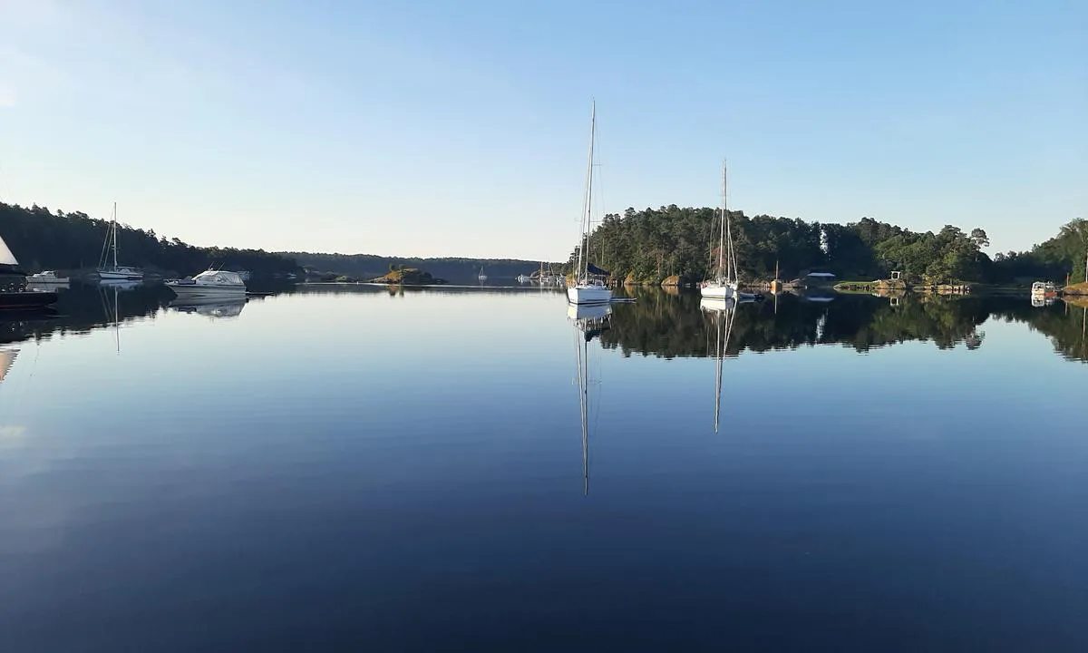 Færvikilen: {"base": "no", "no": "En sen julikveld i F\u00e6rvikkilen. Sett mot syd.", "se": "En sen julikv\u00e4ll i F\u00e6rvikkilen. Sedd mot s\u00f6der.", "en": "A late July evening in F\u00e6rvikkilen. Viewed towards the south.", "da": "En sen juliaften i F\u00e6rvikkilen. Set mod syd."}