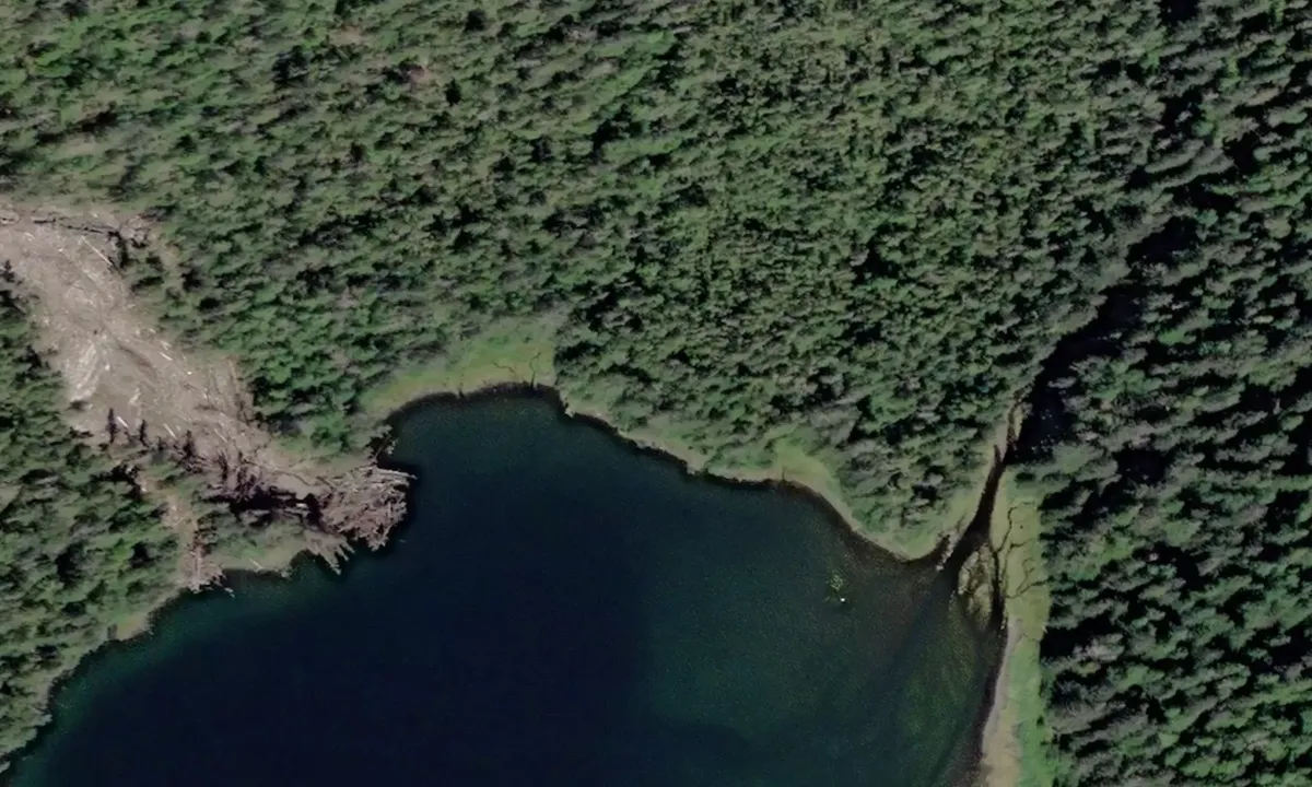 Satelite image of Falcon Arm