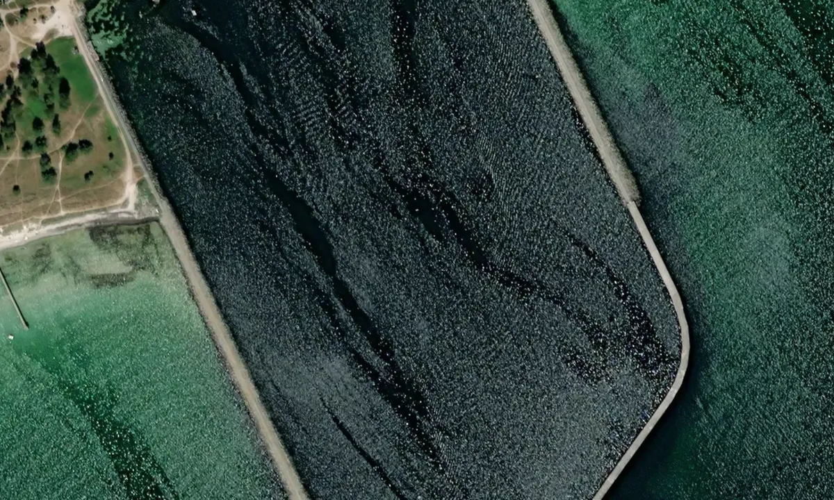Flyfoto av Falsterbokanalen syd