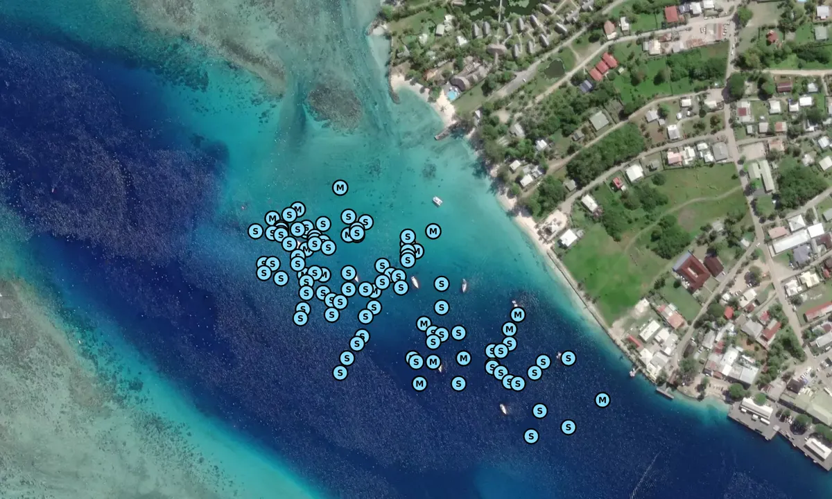 Satelite image of Fare Village