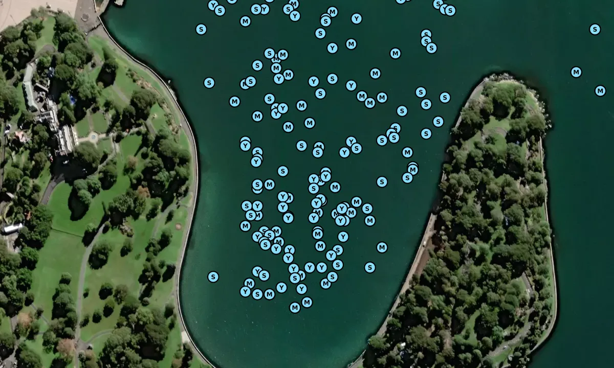 Satelite image of Farm Cove