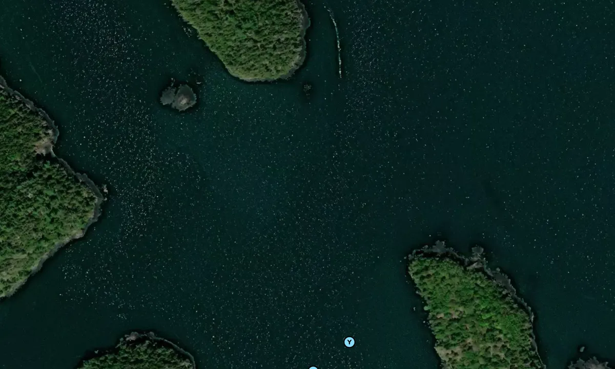 Satelite image of Federal Harbor