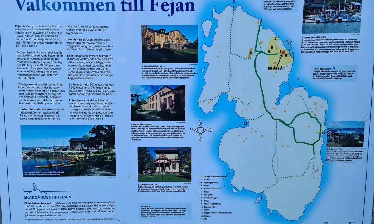 Fejan