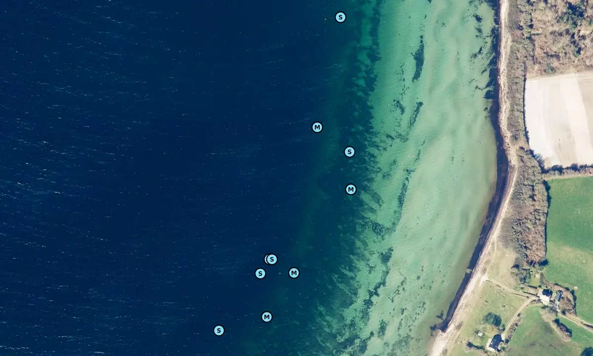 Satelite image of Feldsted Skov Varnæs Hoved bouy