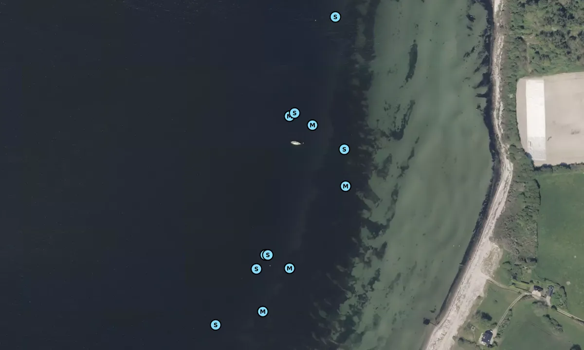 Satelite image of Feldsted Skov Varnæs Hoved bouy