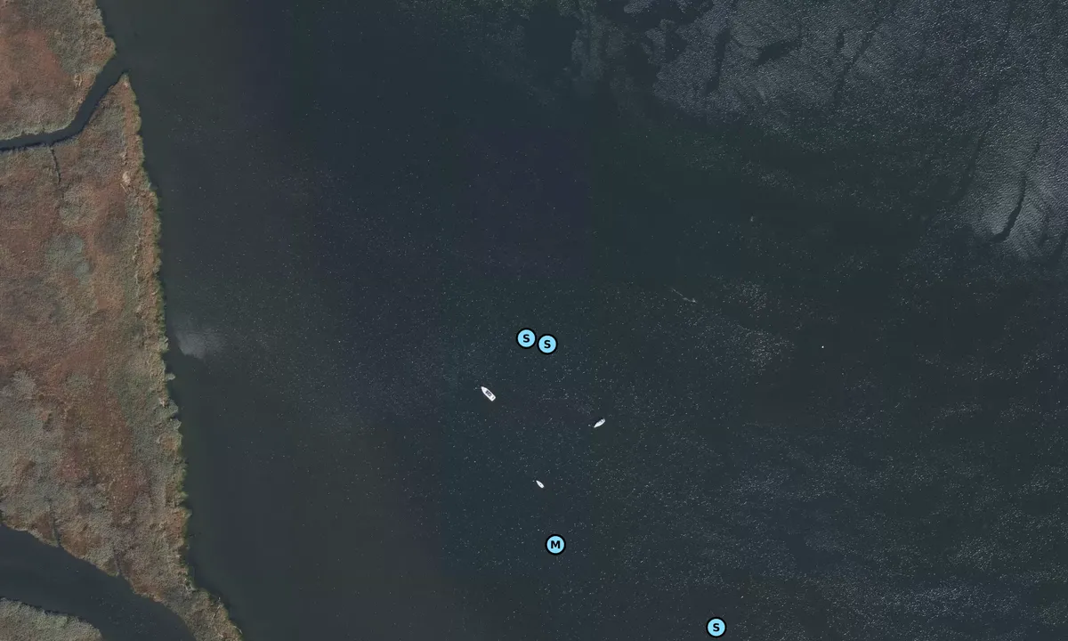 Satelite image of Ferry Point