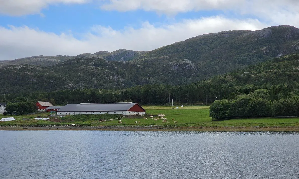 Fevåg