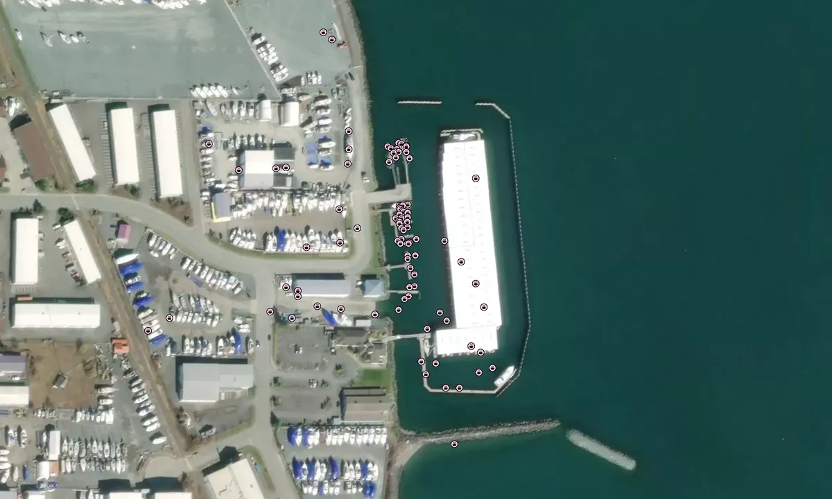 Flyfoto av Fidalgo Marina - Anacortes