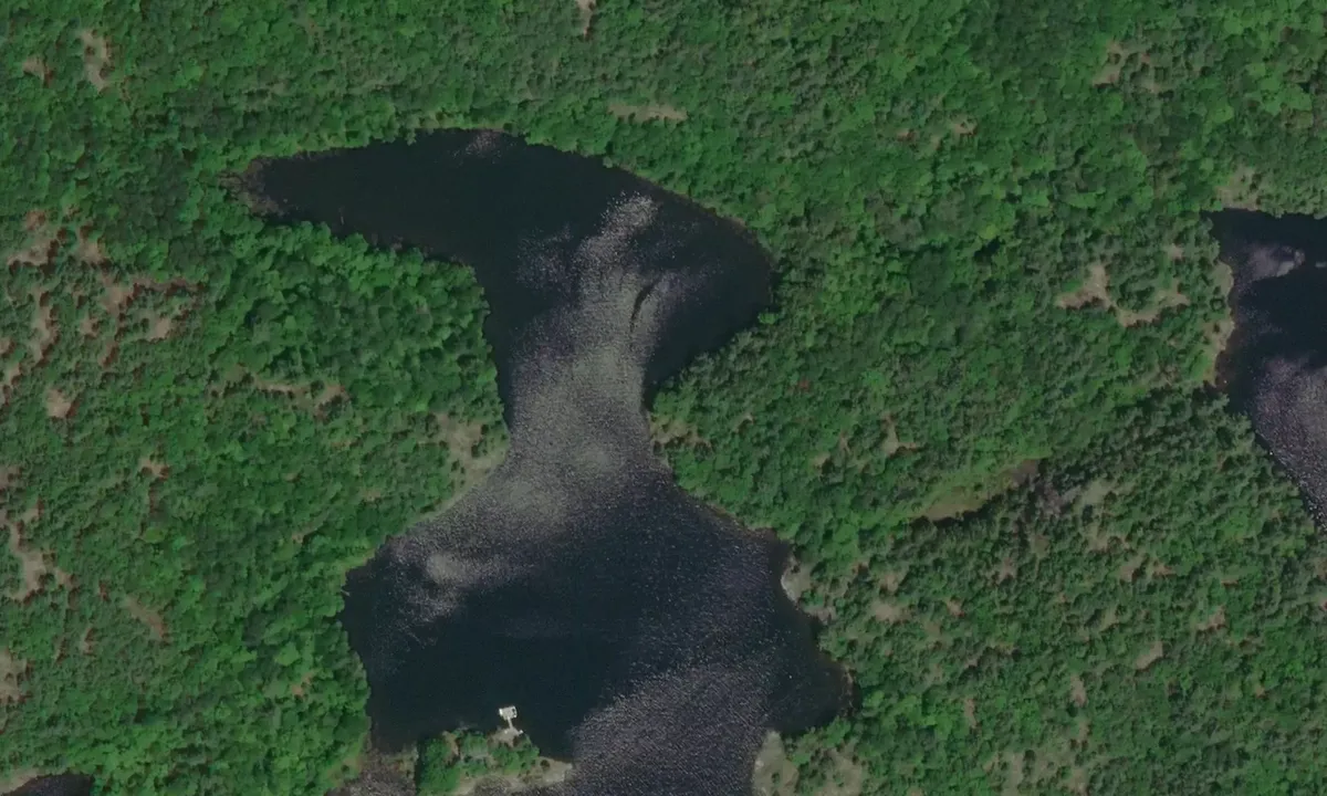 Satelite image of Figure 8