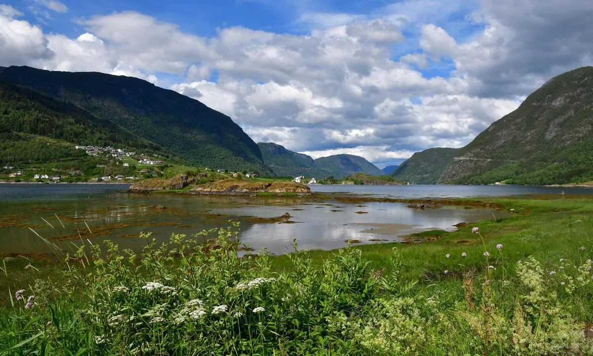 Fimreite: {"base": "se", "no": "Storholmen", "se": "Storholmen", "en": "Storholmen", "da": "Storholmen"}