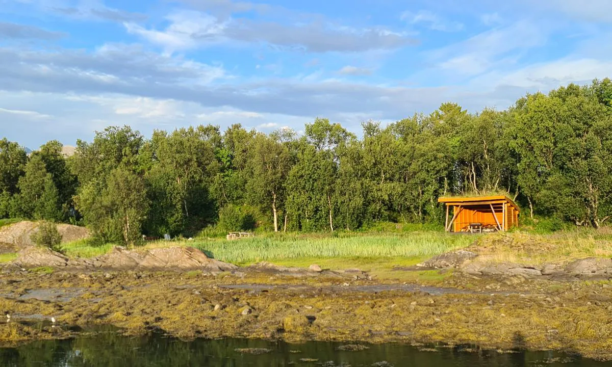 Finnlandsnes småbåthavn: Gapahuk med ved, veldig bra tilrettelagt