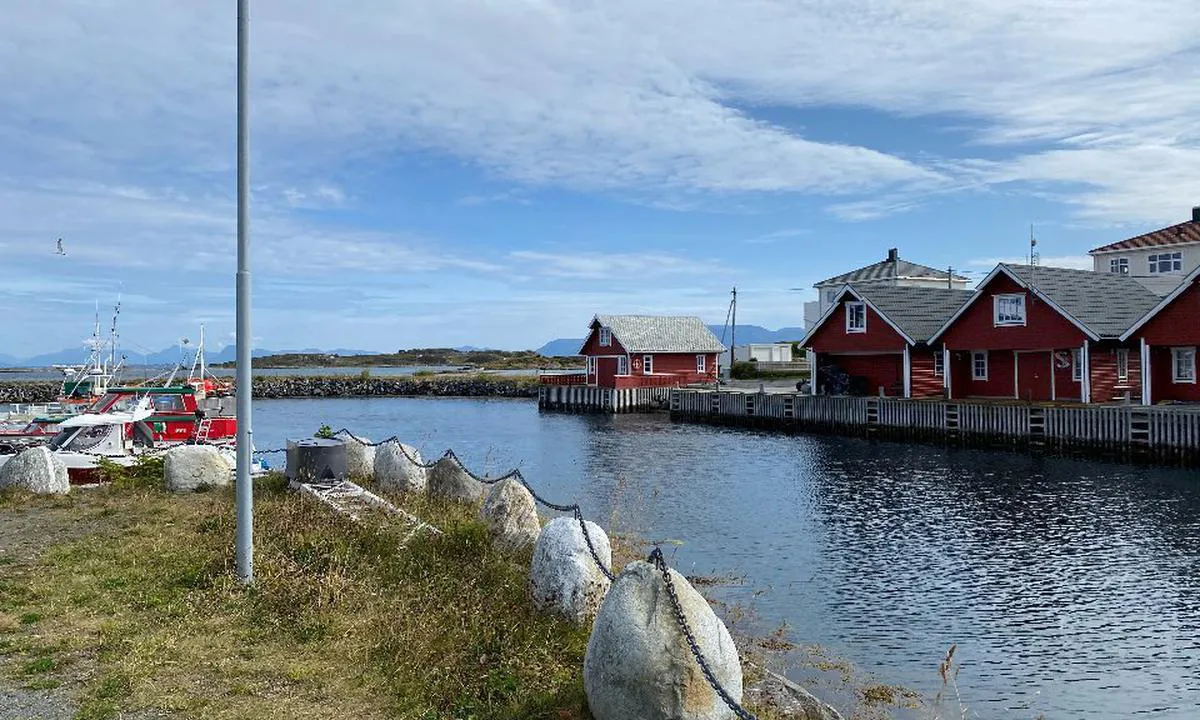 Finnøy Gjestehavn: Bildet er tatt i retning nord - gjestehavna ligger bak fotografen. Foto: Per-Helge Berg