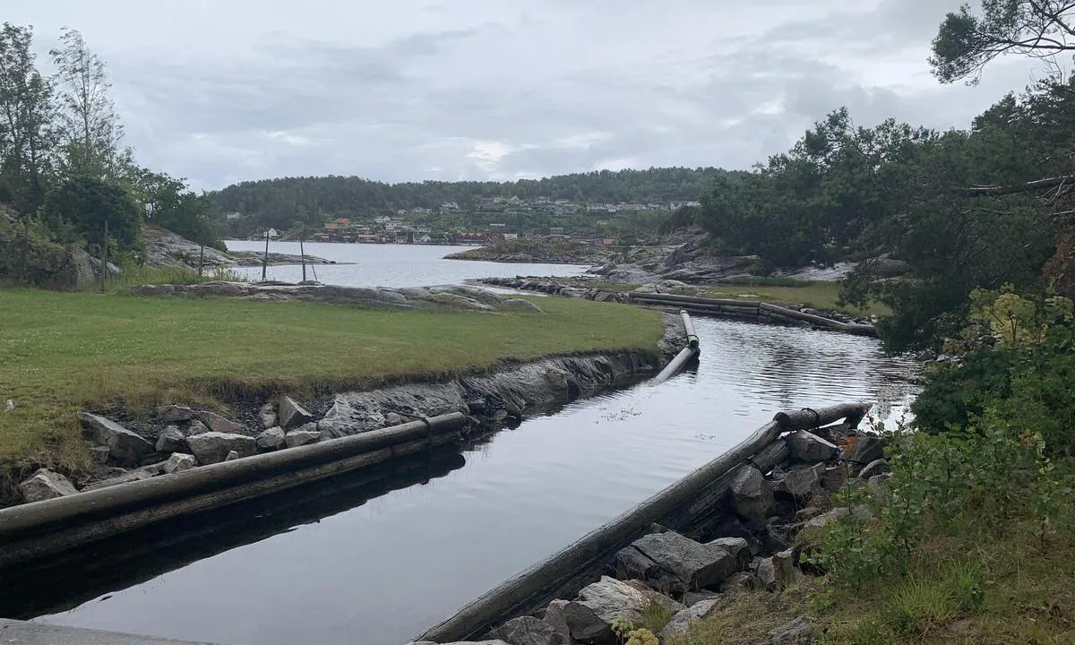 Finnøya Seilsenter: {"base": "no", "no": "Fin kanal som deler \u00f8ya, masse mornings bolter rundt p\u00e5 \u00f8ya. Og noen kaier p\u00e5 vestre Finn\u00f8y", "se": "Fin kanal som delar \u00f6n, massor av morgonbojar runt \u00f6n. Och n\u00e5gra kajer p\u00e5 v\u00e4stra Finn\u00f6", "en": "Nice channel that divides the island, lots of morning bolts around the island. And some piers on western Finn\u00f8y", "da": "Fin kanal som deler \u00f8en, mange morgener bolter rundt p\u00e5 \u00f8en. Og nogle kajer p\u00e5 vestre Finn\u00f8."}