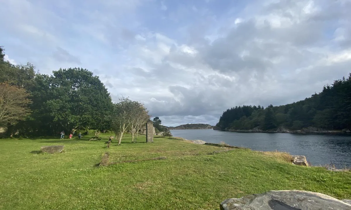 Stor fin gressplen, sydover i finnøysund