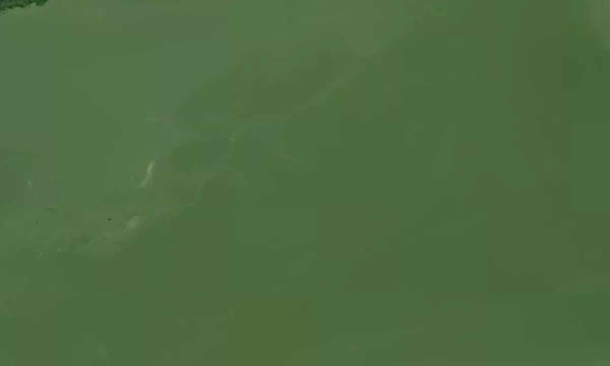 Satelite image of First Bay