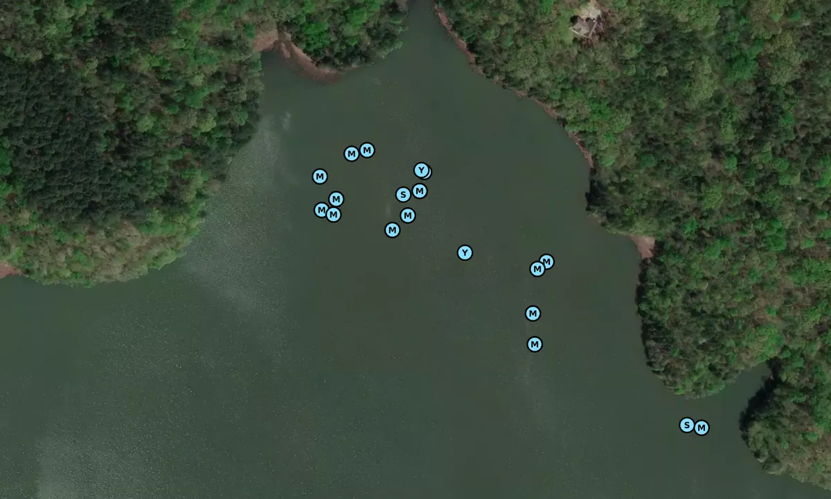 Satelite image of First Creek - 1