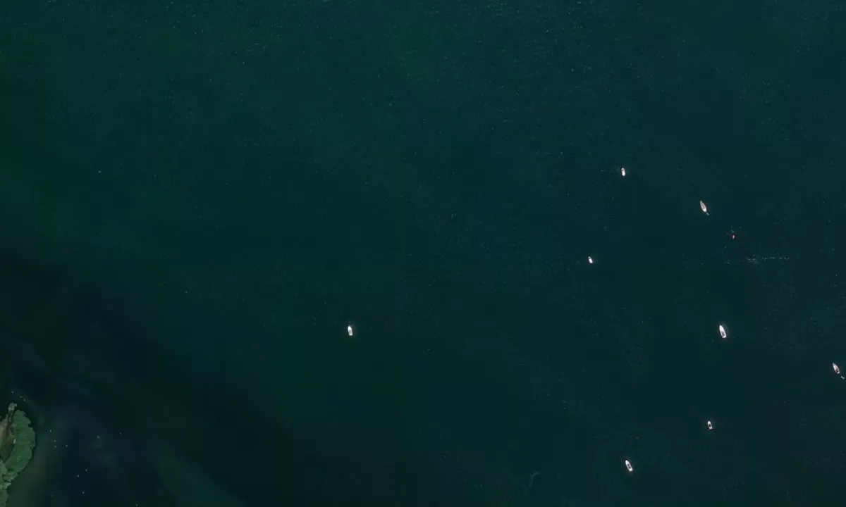 Satelite image of Fischerinsel