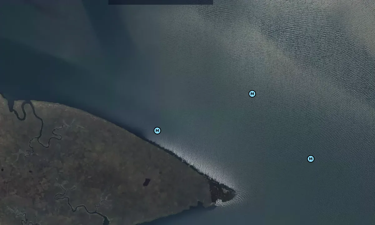 Satelite image of Fish Island