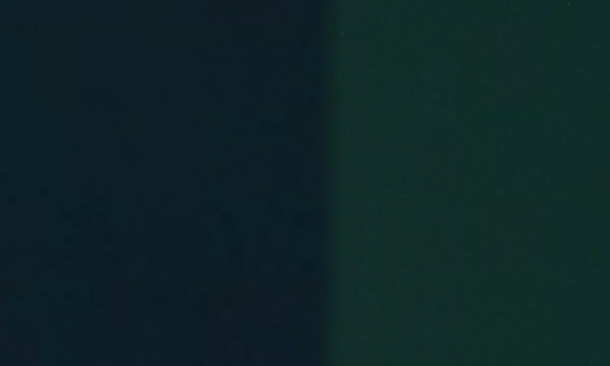 Satelite image of fish on