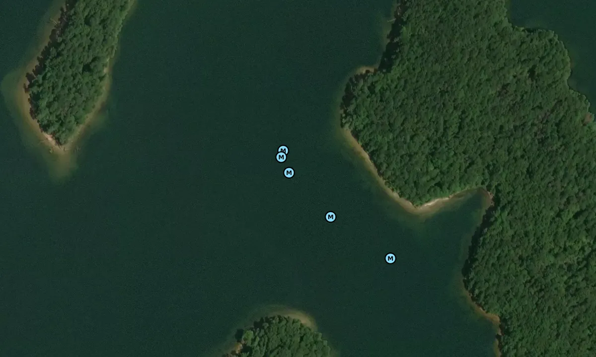 Satelite image of Five Fingers Palm