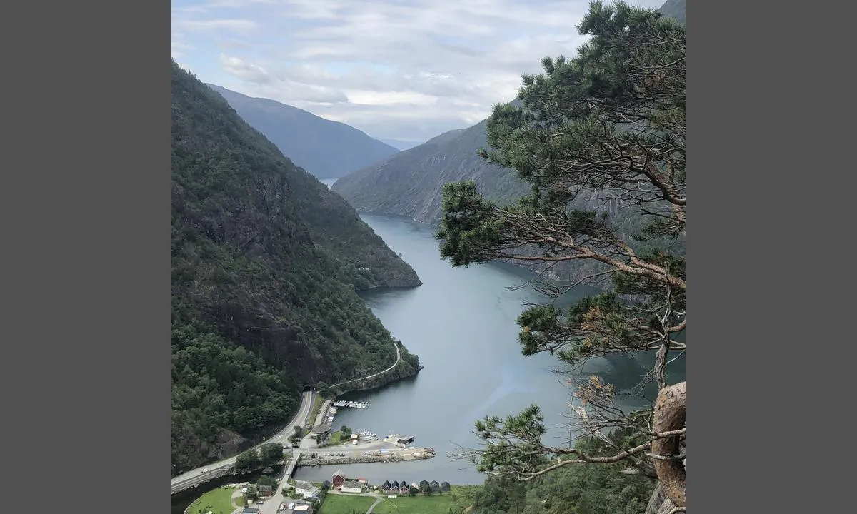 Fjæra