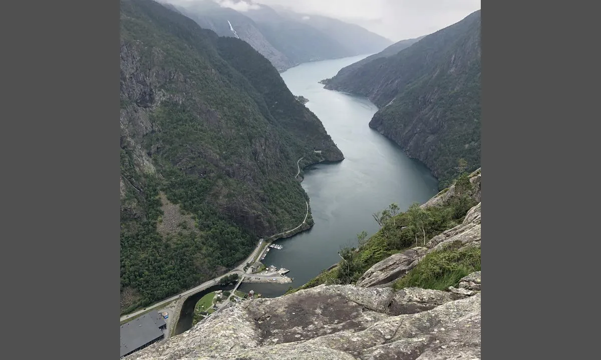 Fjæra
